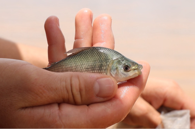 5e4ee242-5415-4a49-b3f1-46761a96b2c0